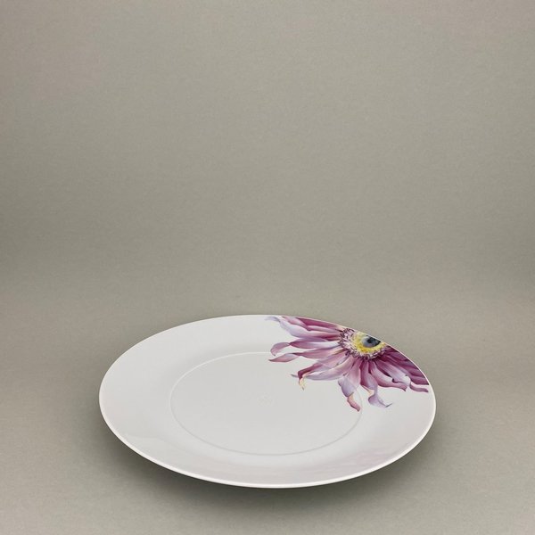 Speiseteller, groß, Form "MEISSEN®  Cosmopolitan", Giant Bloom, Motiv Gerbera, Ø 30 cm