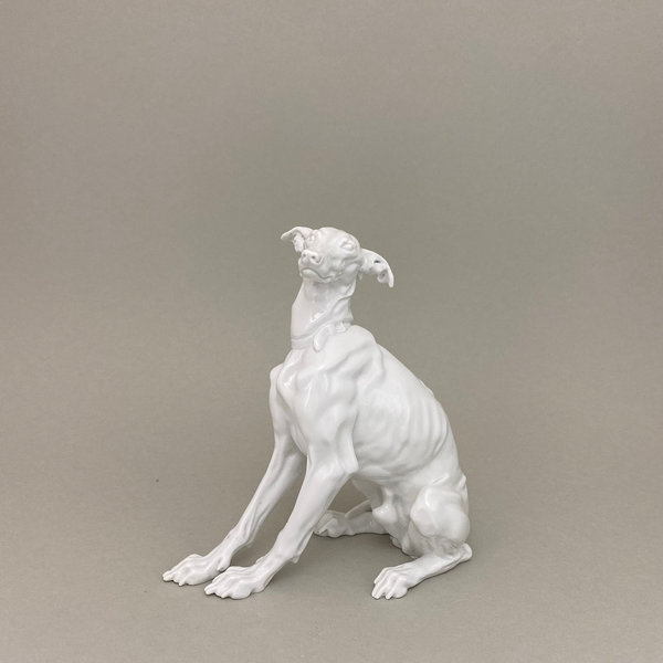 Hund Whippet, Weiß, H  17 cm